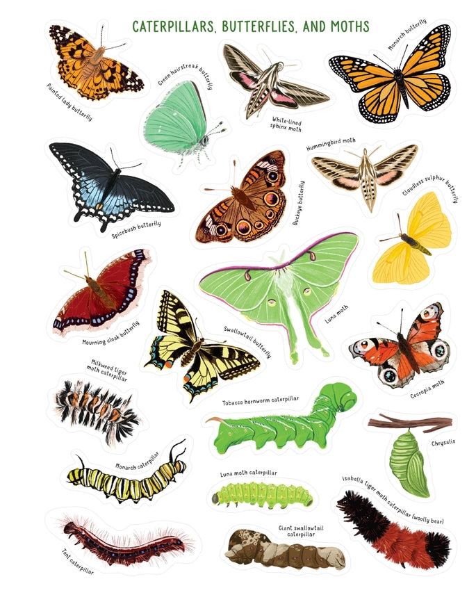 Backpack Explorer Stickers: Bug Adventure