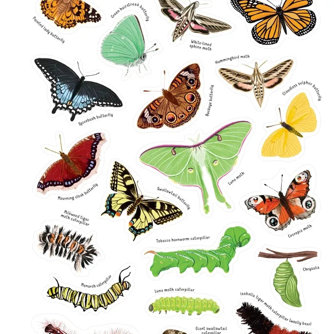Backpack Explorer: Bug Adventure Stickers