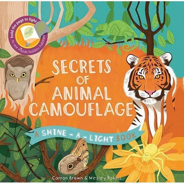 Shine-A-Light: Secrets of Animal Camouflage Book