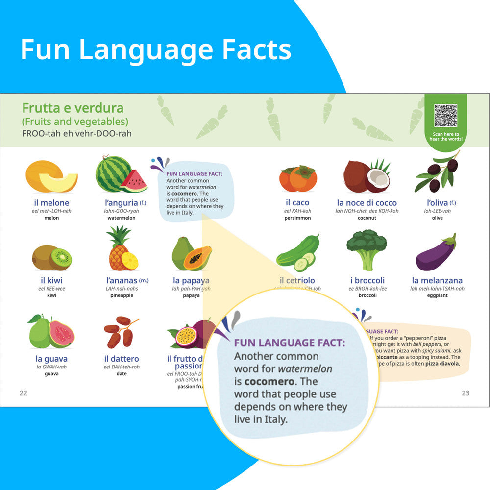 Rosetta Stone Italian Picture Dictionary