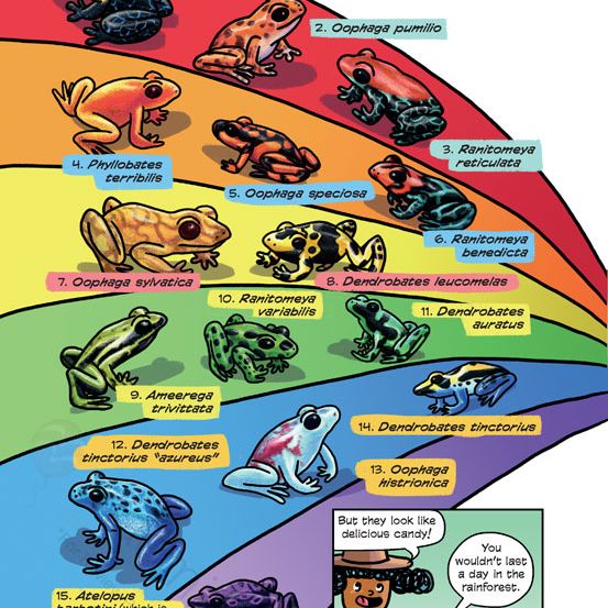 Science Comics: Frogs: Awesome Amphibians