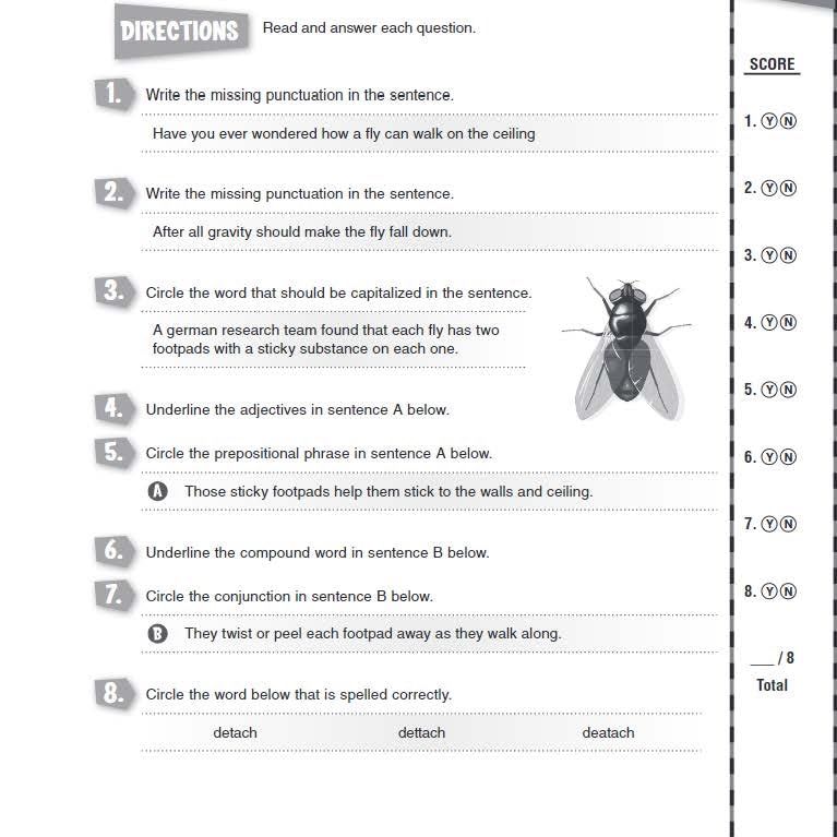 180 Days: Language for Sixth Grade
