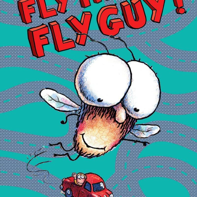FLY GUY #5: FLY HIGH, FLY GUY!