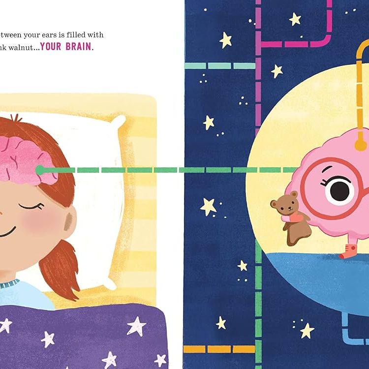 Good Night to Your Fantastic Elastic Brain