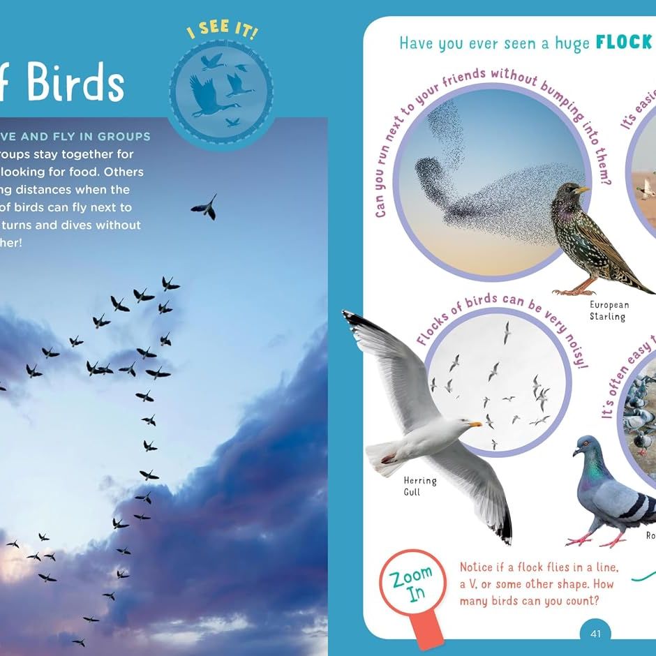 Backpack Explorer: Bird Watch