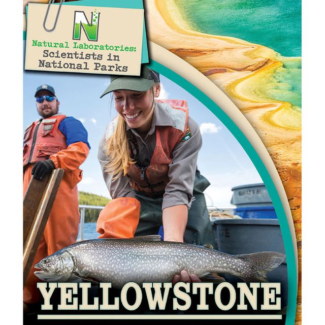 Yellowstone Reader Grade 4-8