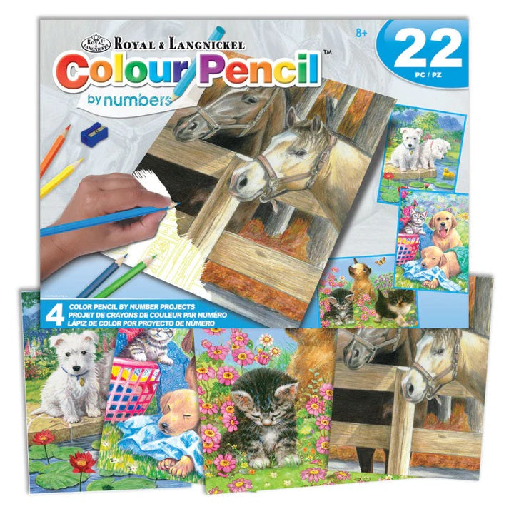 Colour Pencil by Number Kit