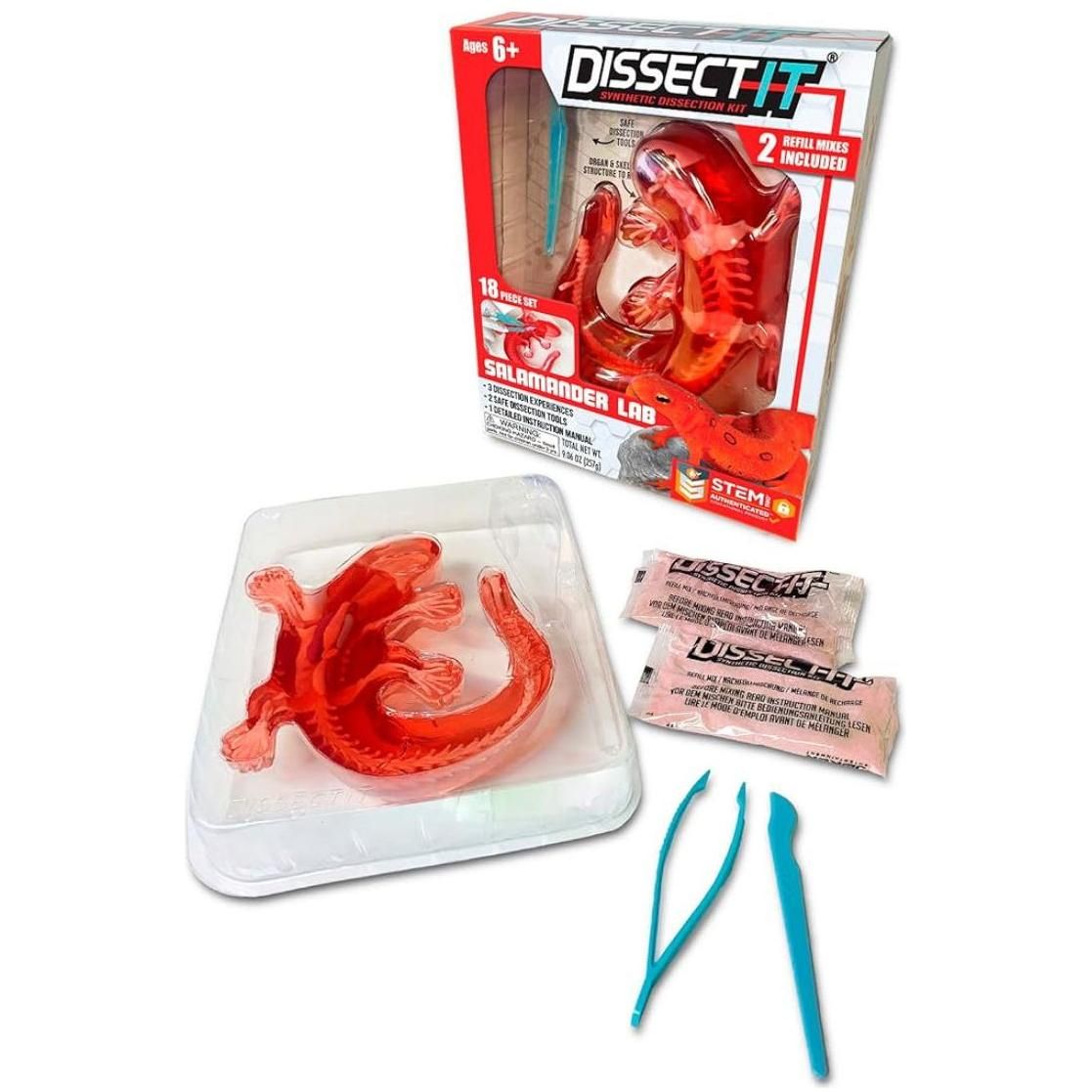 Dissect-it Salamander Lab