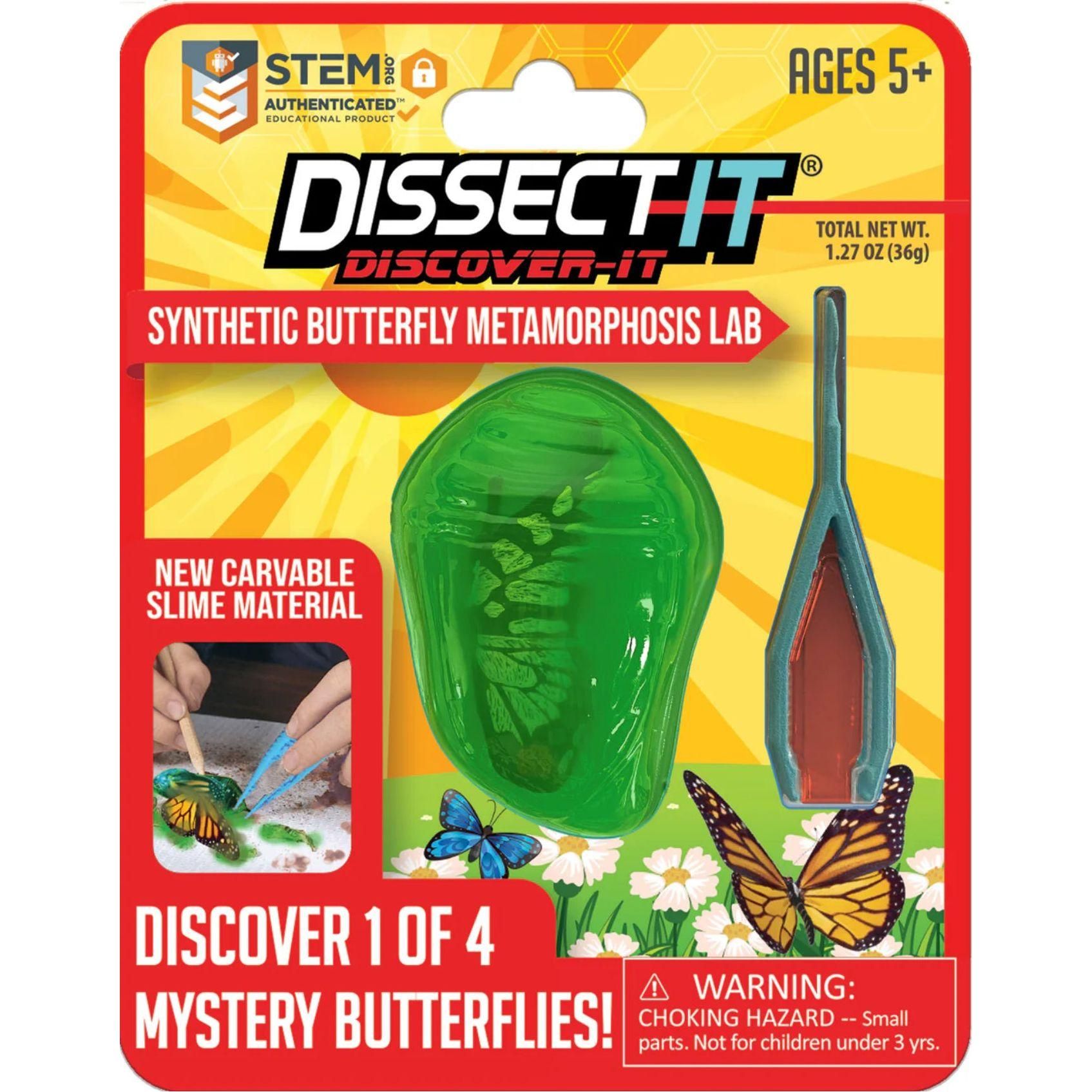 Discover It Synthetic Butterfly Chrysalis Lab