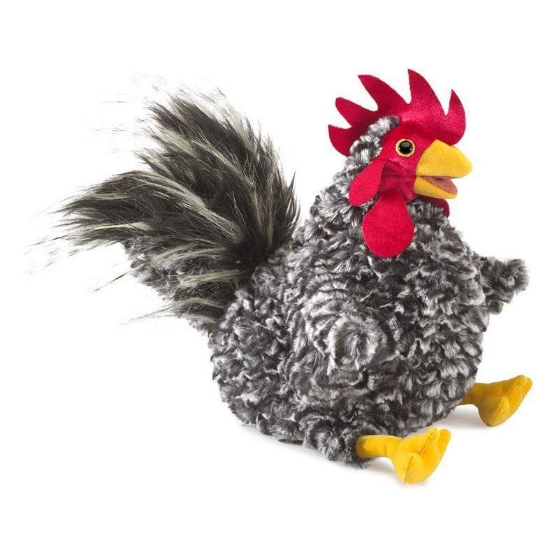 Rooster, Barred Rock