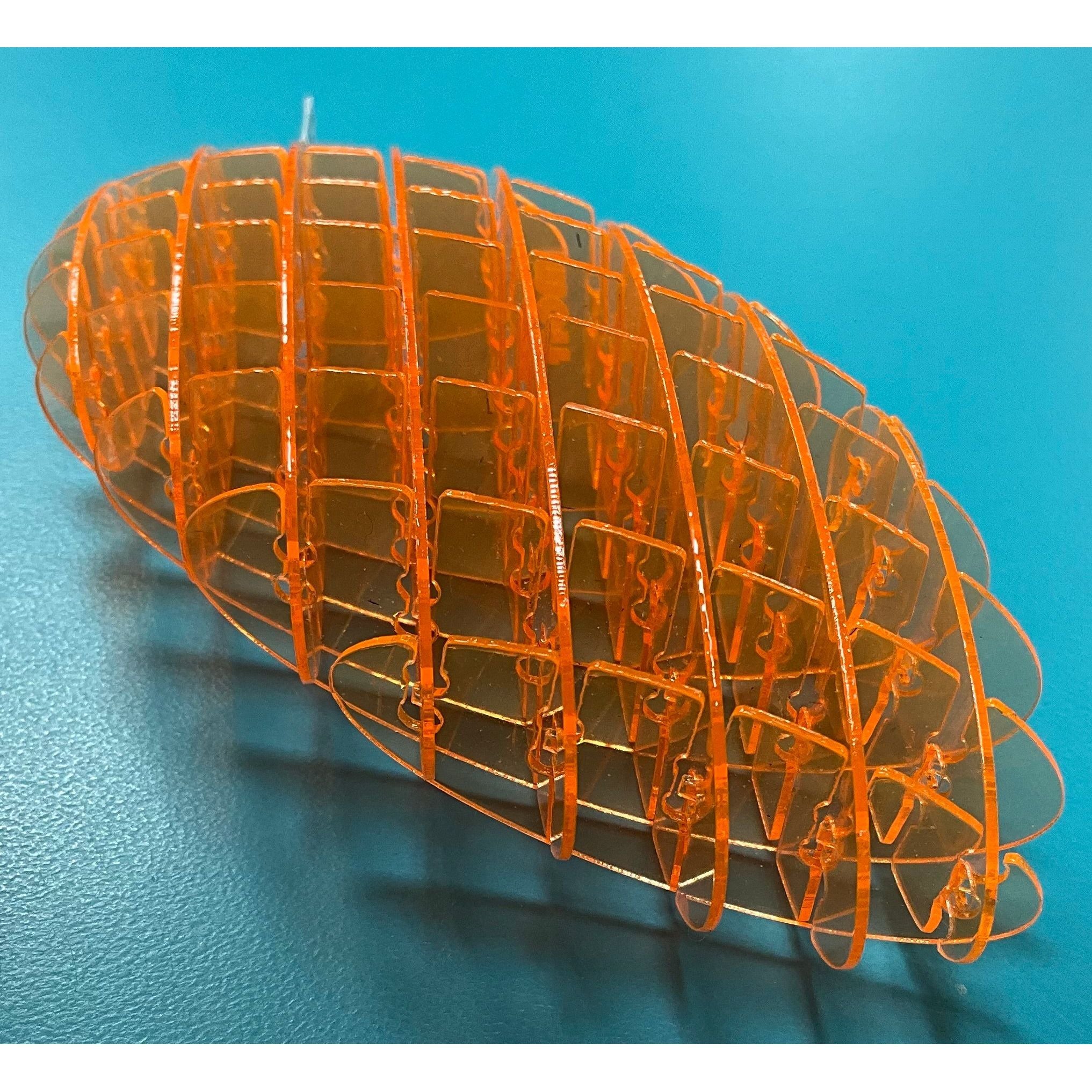 Morf Fidget Worm Orange Small