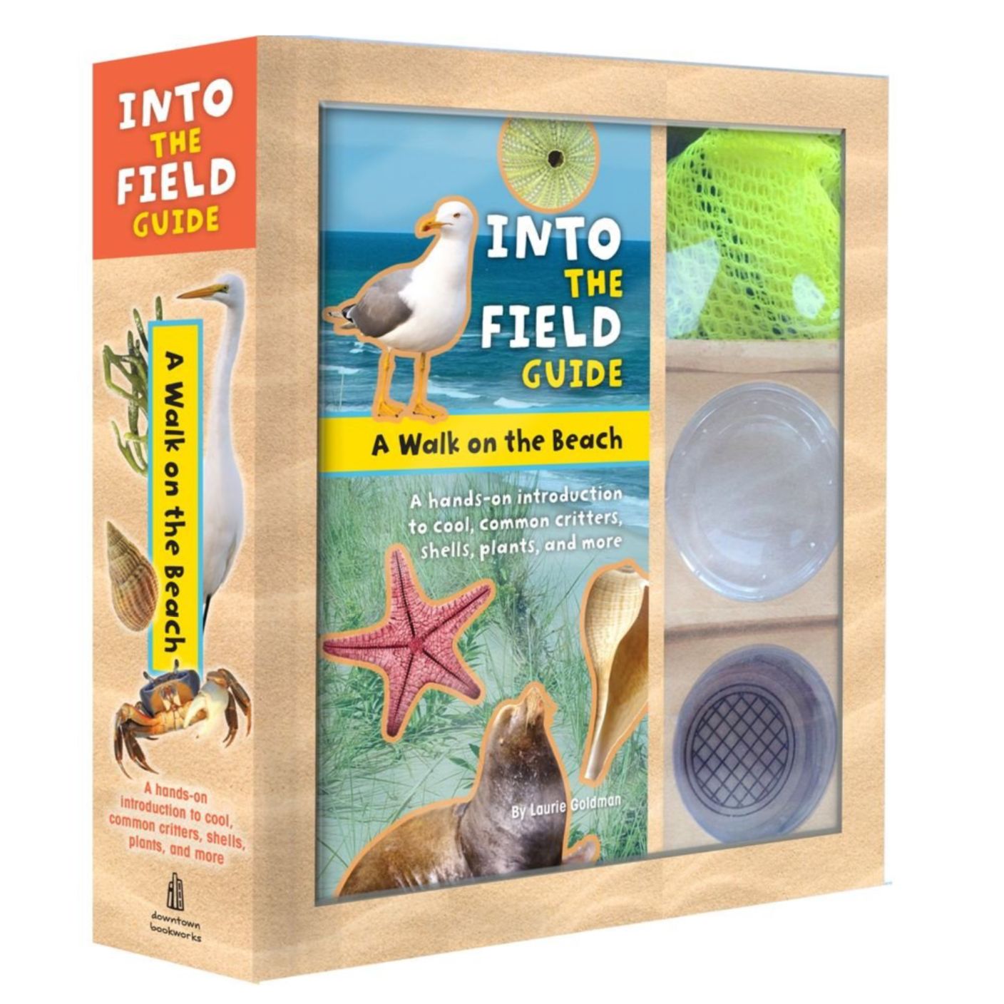 Into the Field Guide: Walk on the Beach