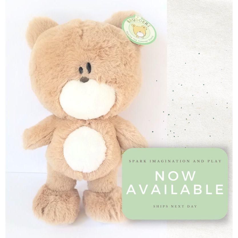 Brudders Books Snuggle Bear