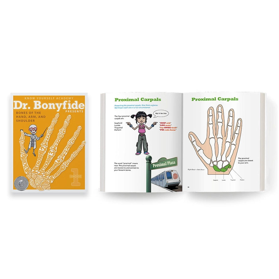 206 Bones of the Human Body - 4 Book Set