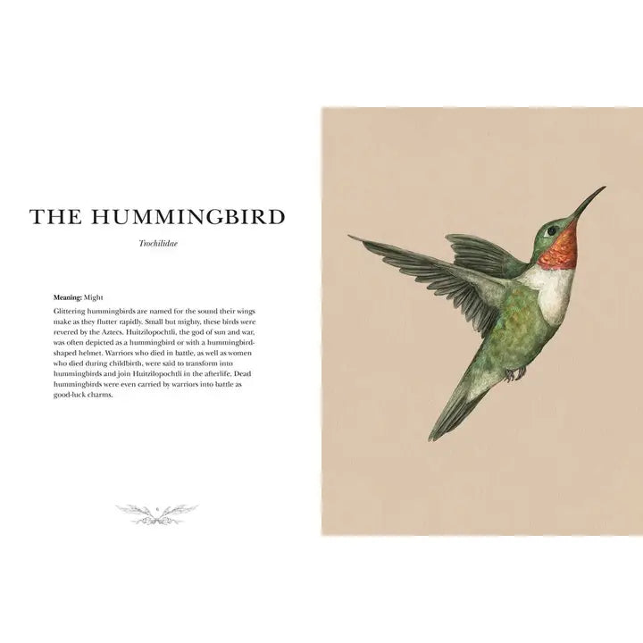Ornithography