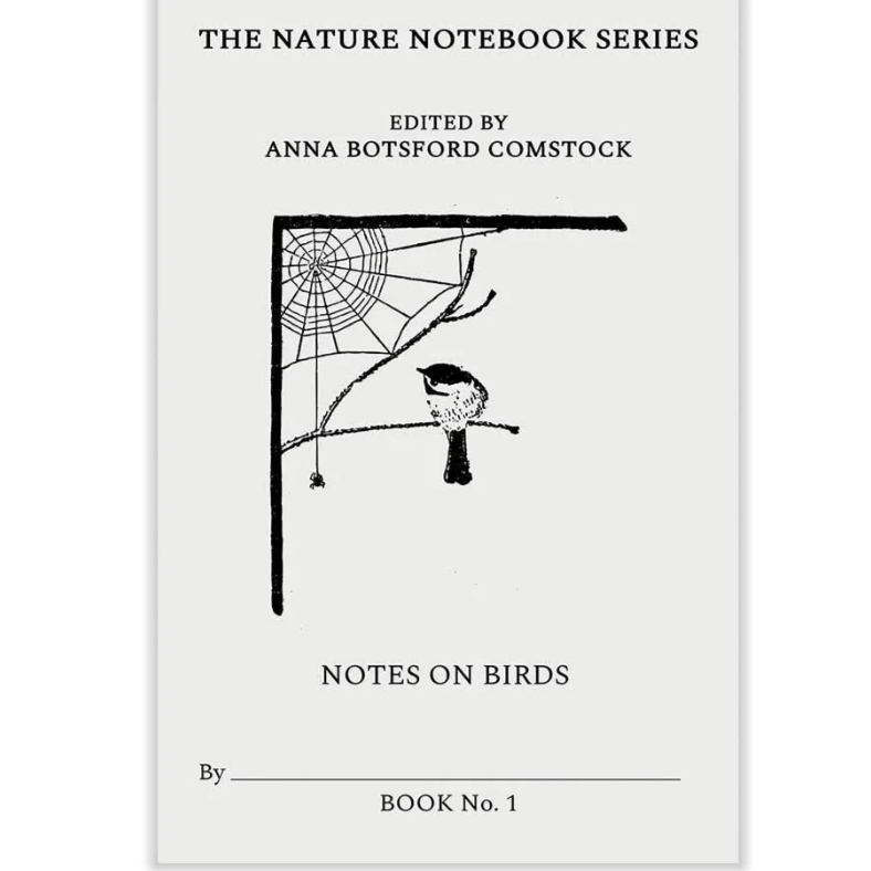 The Nature Notebook Series: Notes on Birds 1