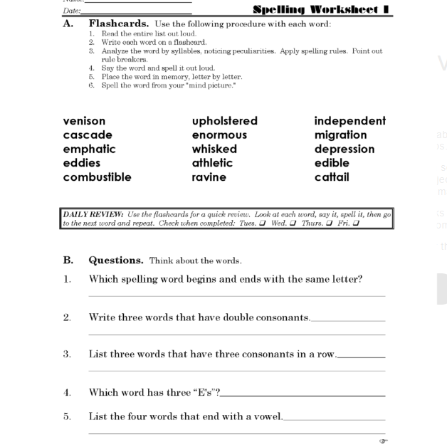My Side of the Mountain Discovery Guide