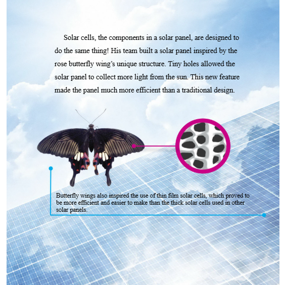 Nature's Energy Reader Grade 4-8