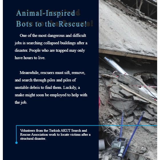 Animal-Inspired Robots Reader Grade 4-8
