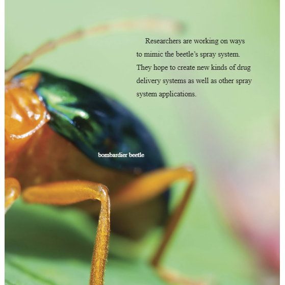 Biomimicry and Medicine Reader Grade 4-8