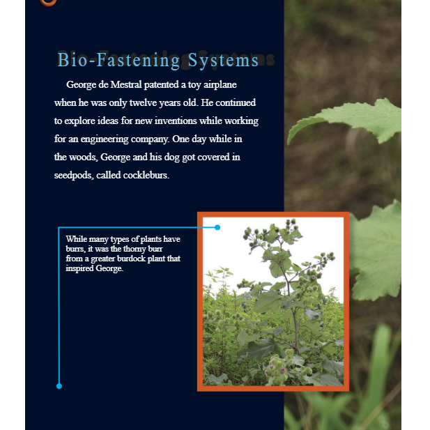 Nature Inspired Contraptions Reader Grade 4-8