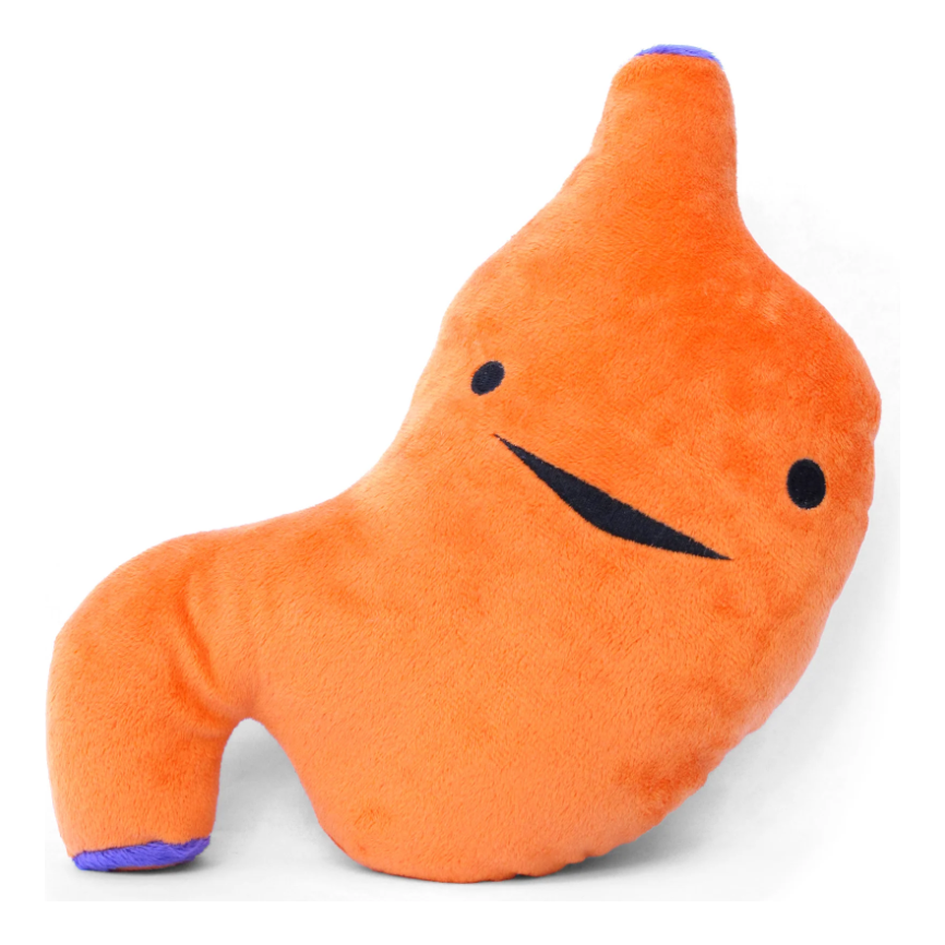 I Heart Guts: Kidney Plush Organ