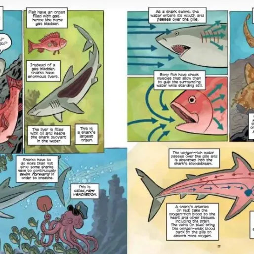 Science Comics: Sharks: Nature's Perfect Hunter