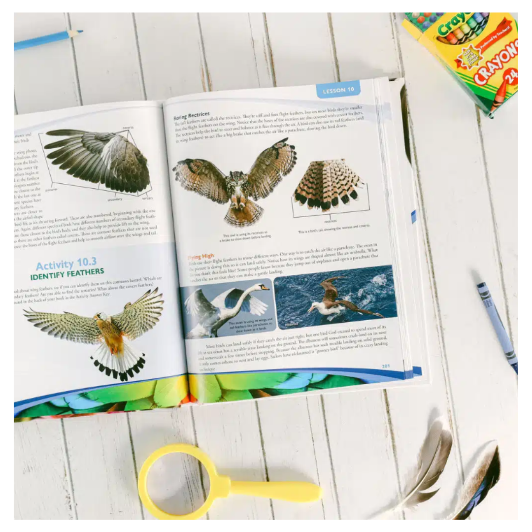 Apologia: Exploring Creation with Zoology 1 Textbook