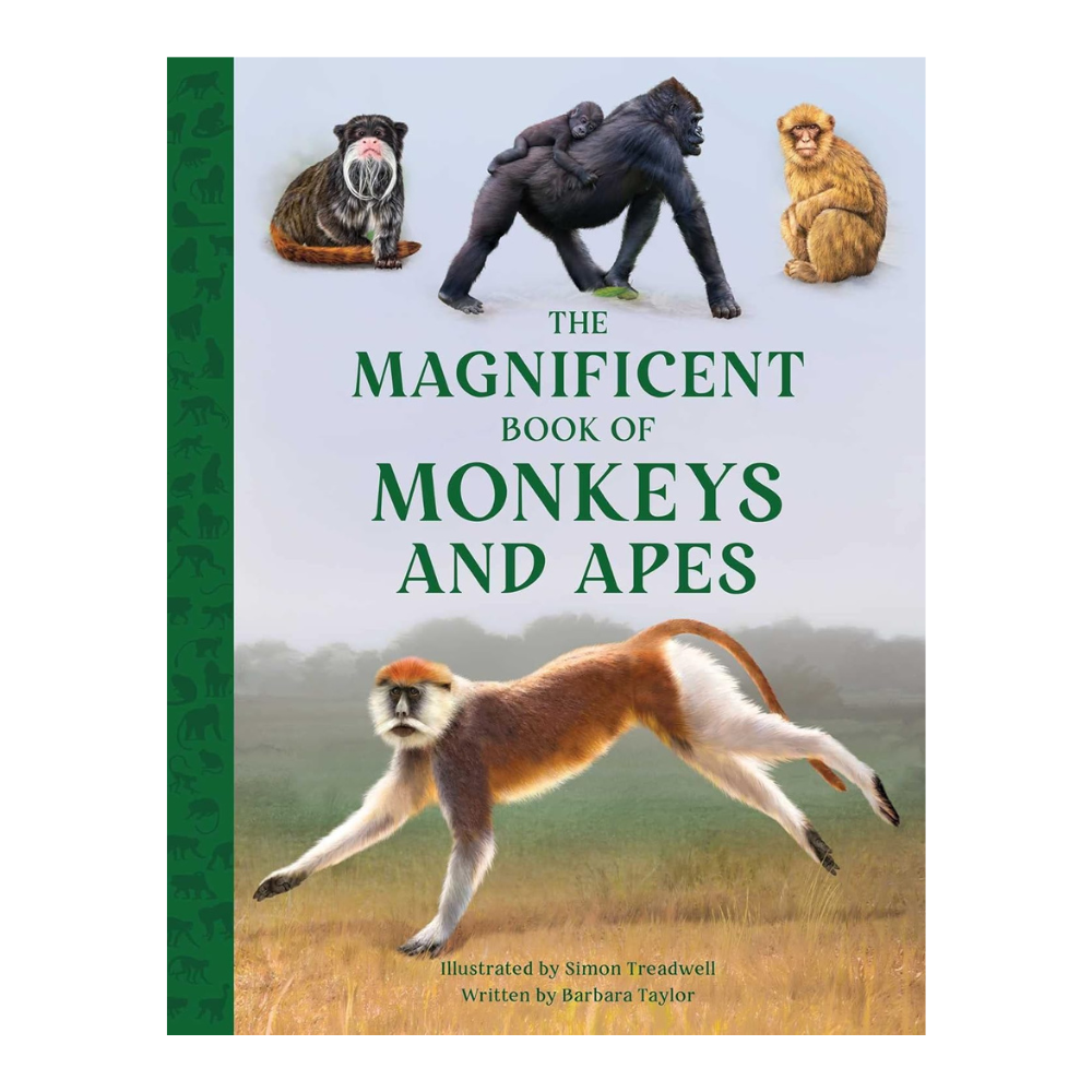 Magnificent Book of Monkeys and Apes