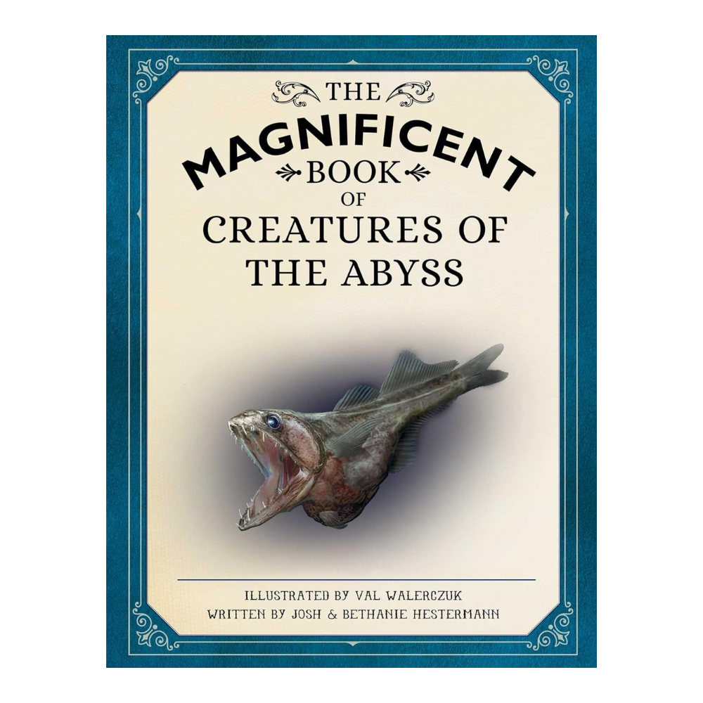 Magnificent Creatures From The Abyss Book