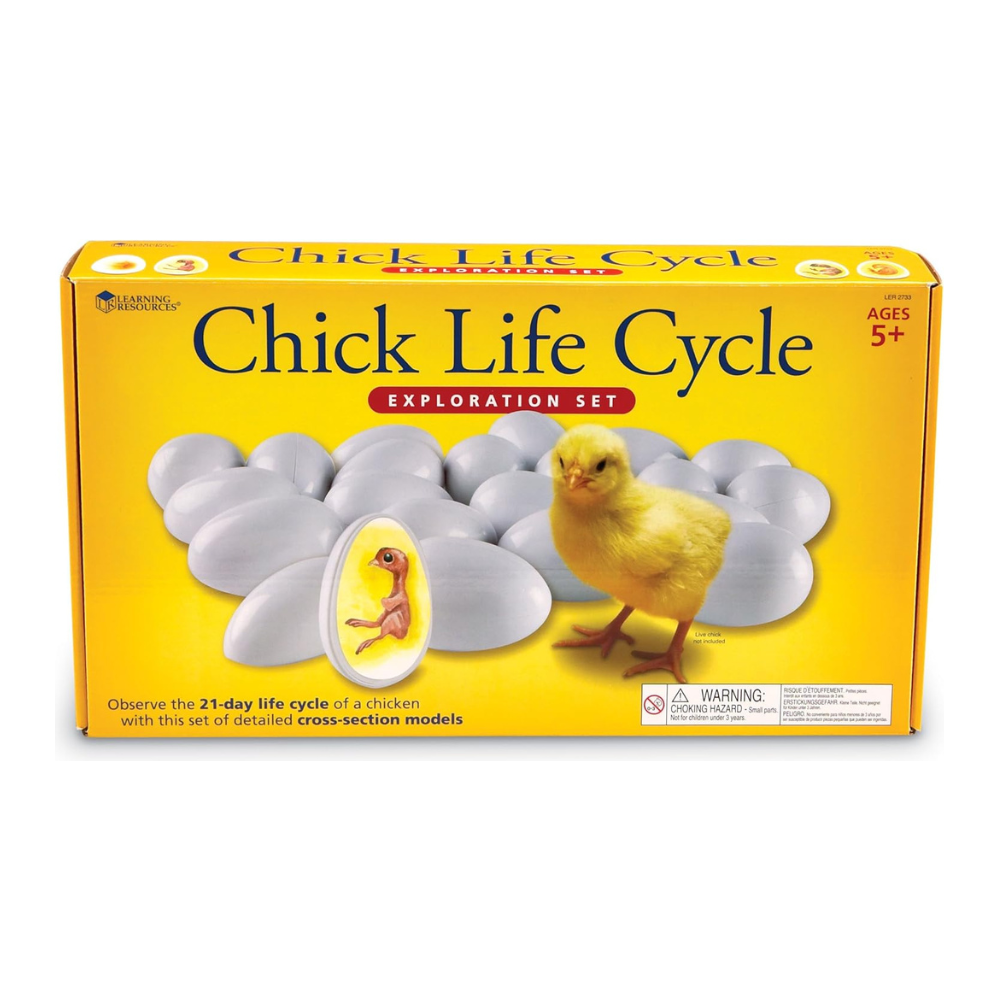 Learning Resources: Chick Life Cycle Exploration Set