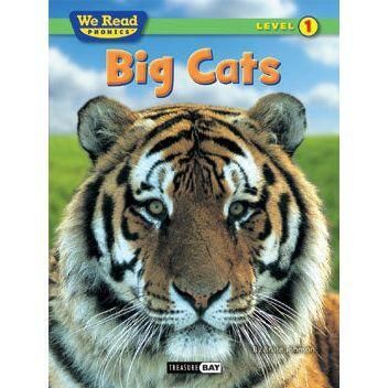 We Read Phonics: Big Cats