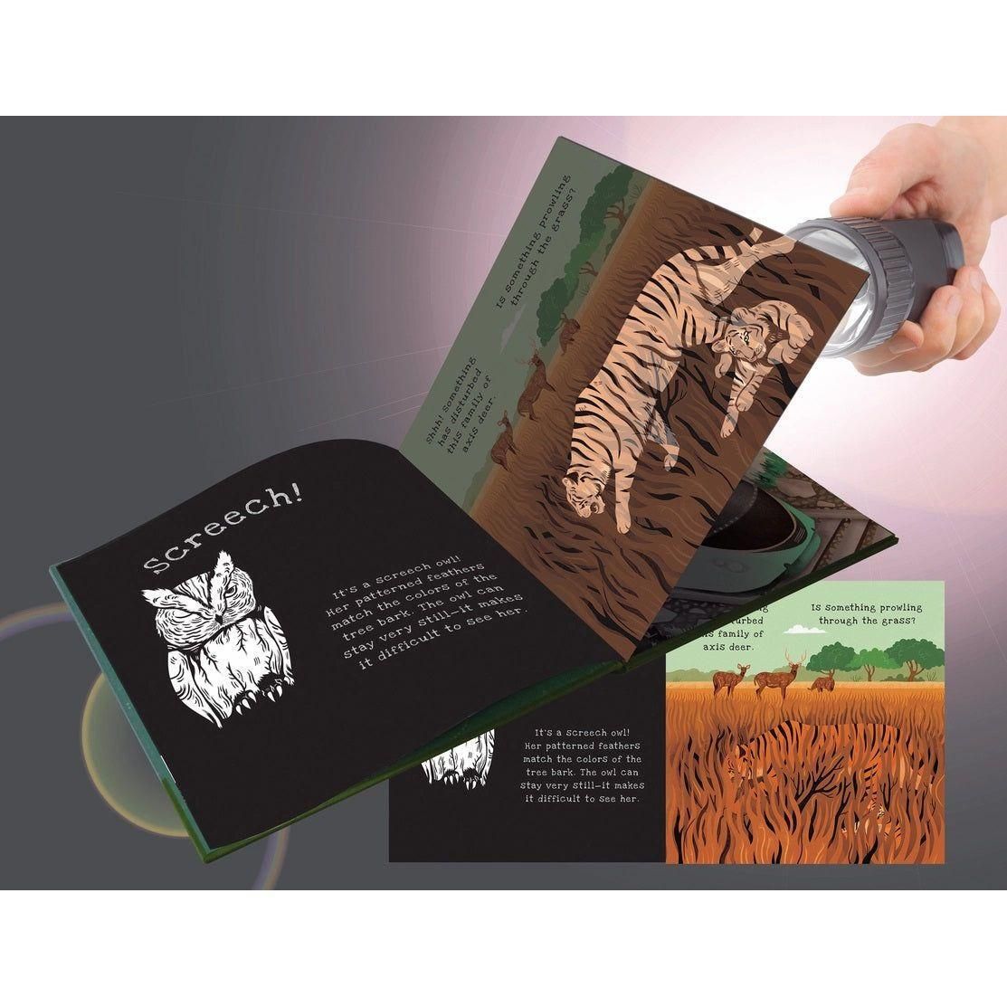 Shine-A-Light: Secrets of Animal Camouflage Book