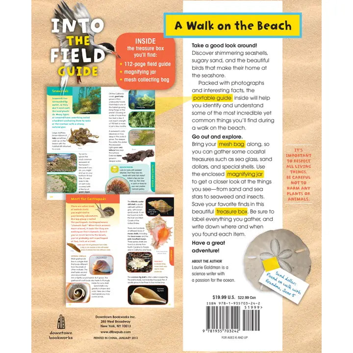 Into the Field Guide: Walk on the Beach