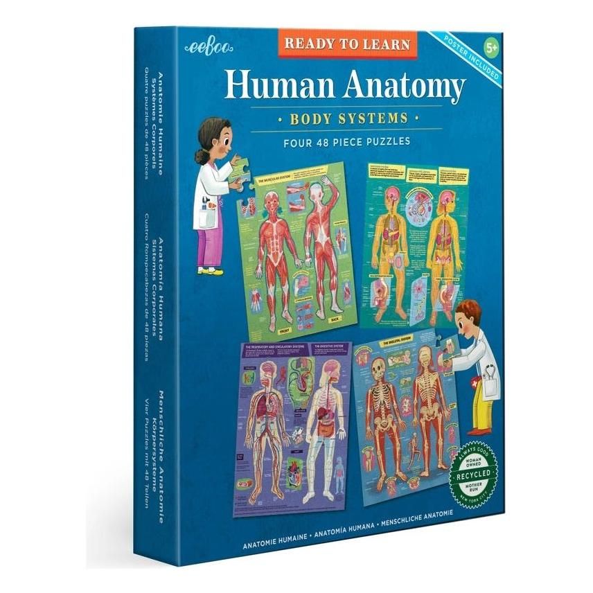Ready To Learn - Human Anatomy 4 Puzzle 48 Piece Set