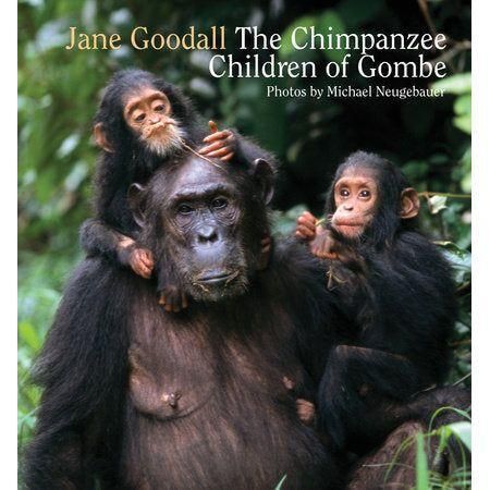 Jane Goodall The Chimpanzee Children of Gombe