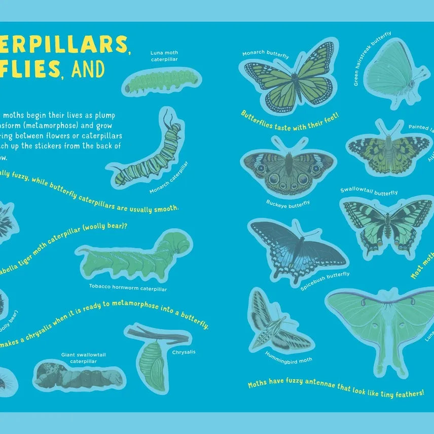 Backpack Explorer: Bug Adventure Stickers