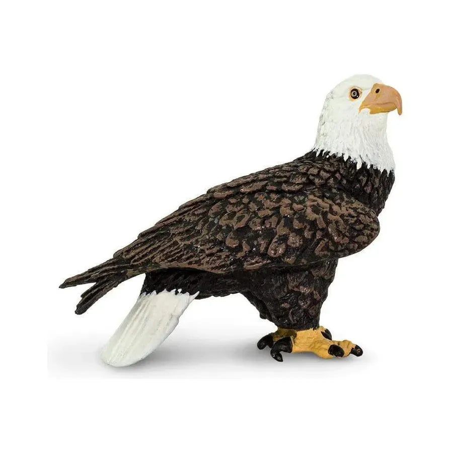 Safari Company: Bald Eagle