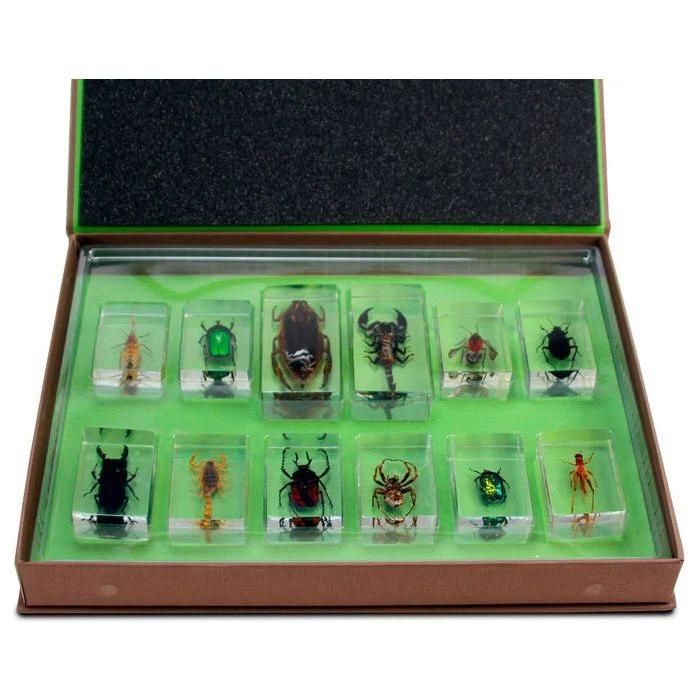 The Nature Collection Set 1: Scorpions, Spiders, and Bugs