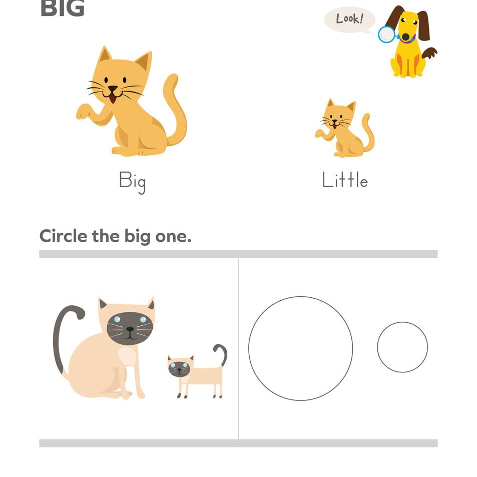 LIFEPAC Kindergarten Core Math Box Set