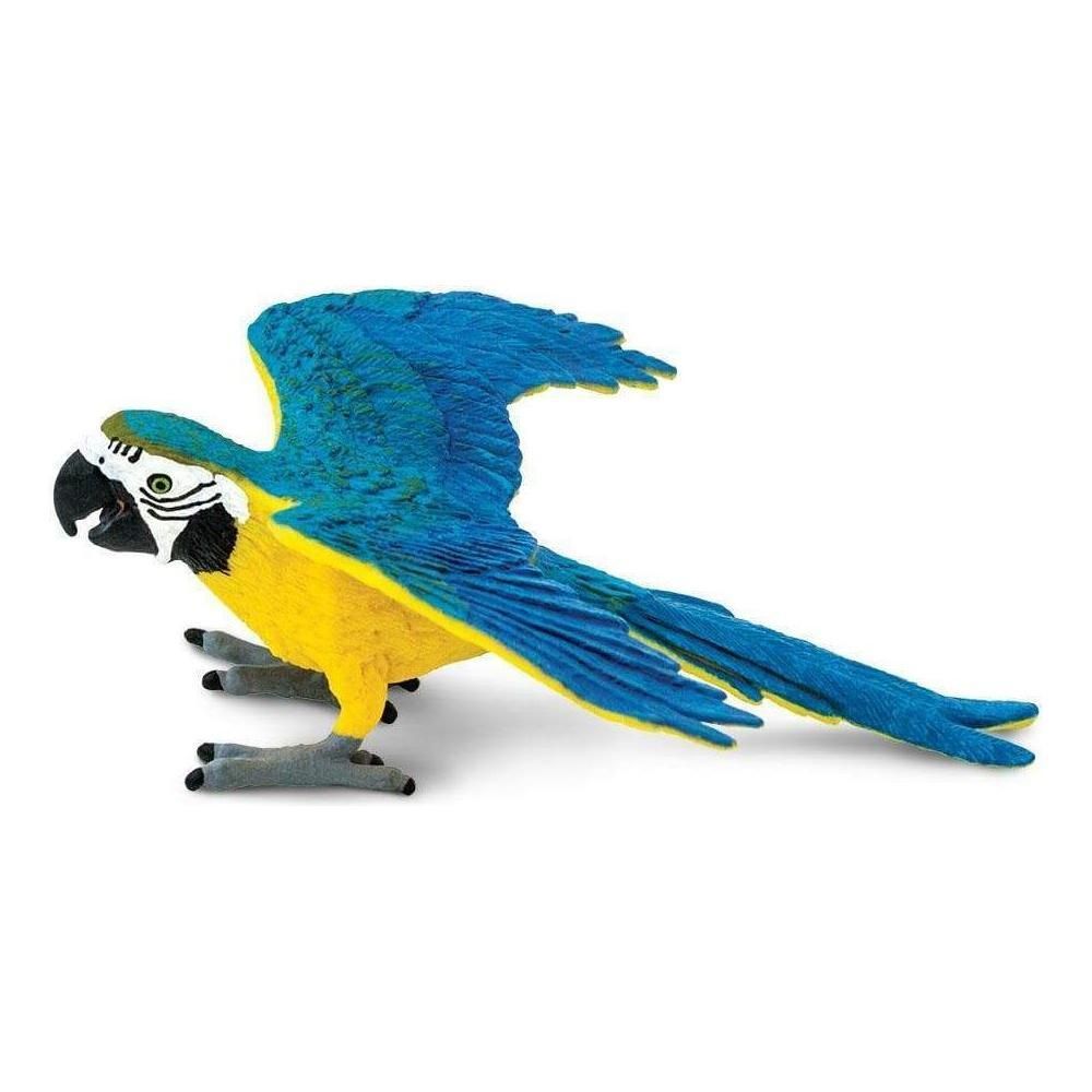 Safari Company: Blue and Gold Macaw