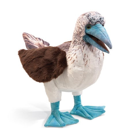Blue-Footed Booby