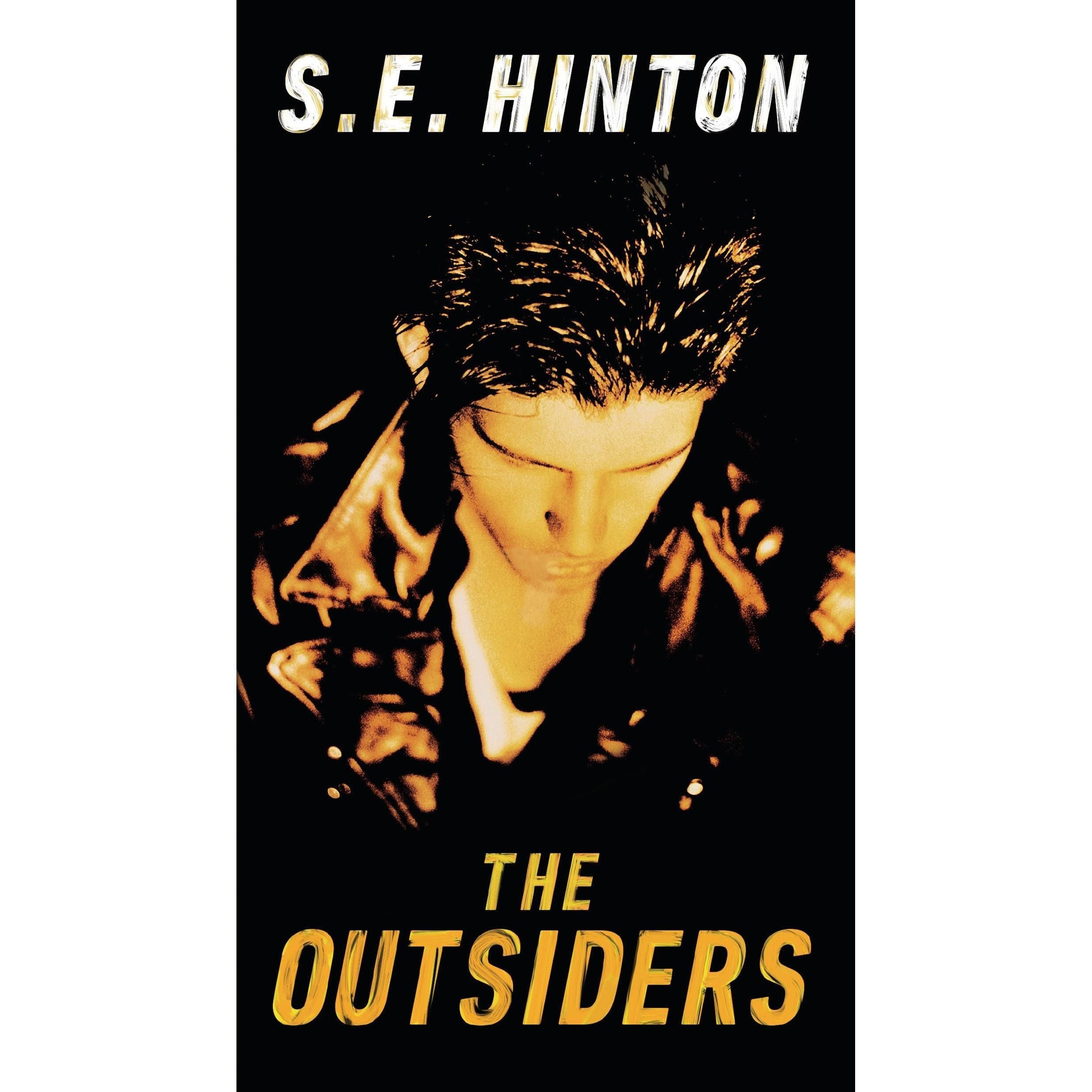 The Outsiders Chapter Book