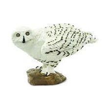 Safari Company: Snowy Owl