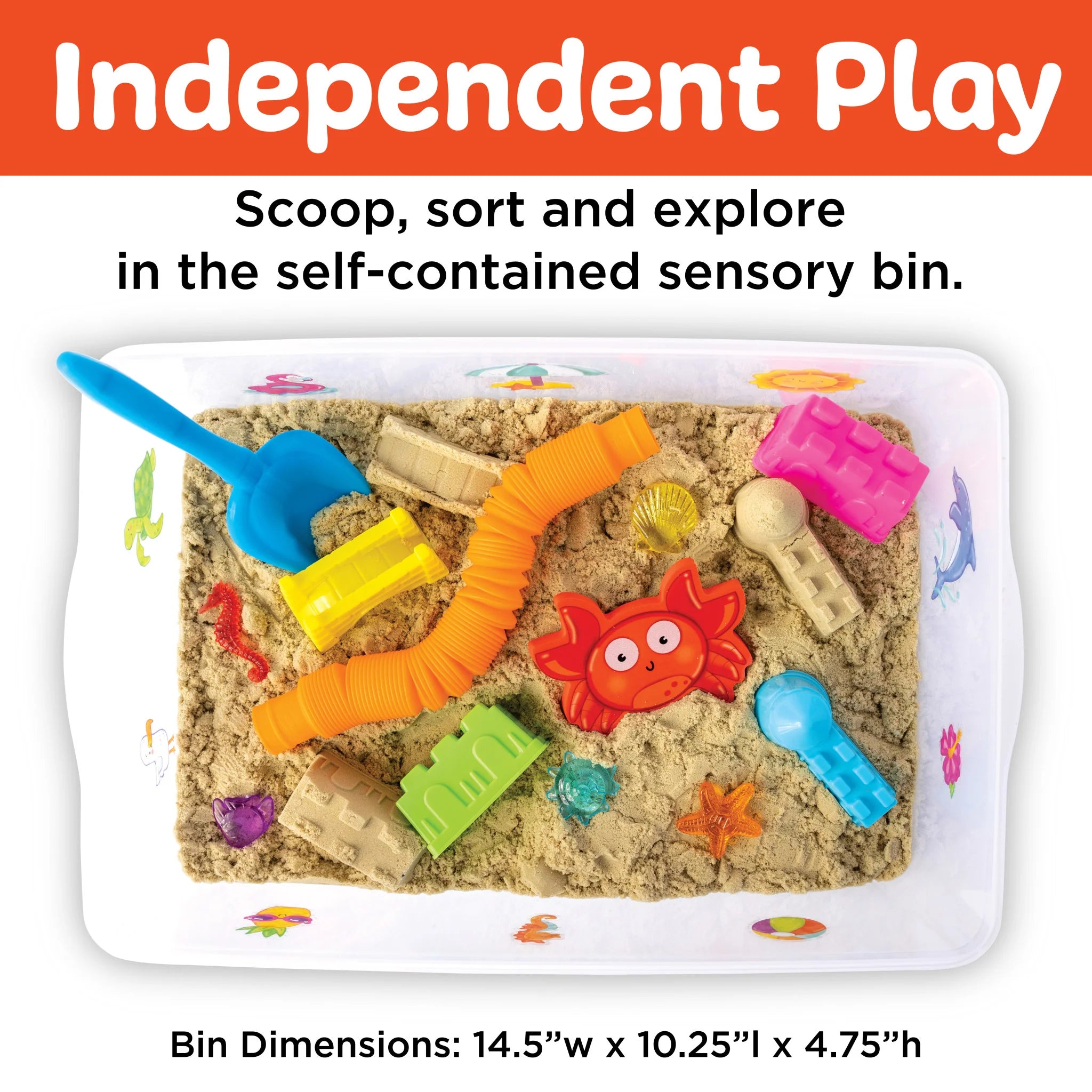 Beach Themed Sensory Bin
