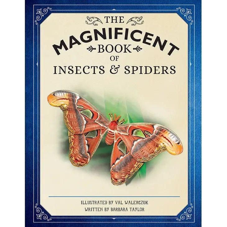 Magnificent Insects/Spiders Book