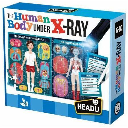 Headu: The Human Body Under X-ray Puzzle