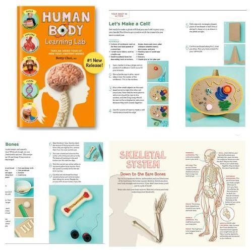 Human Body Learning Lab: Book