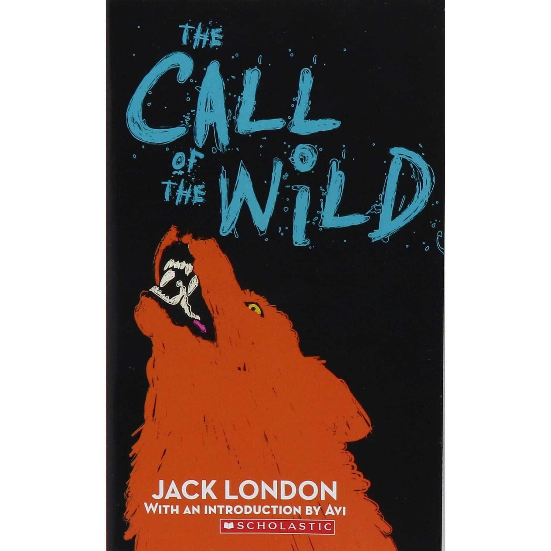 Call of the Wild Chapter Book