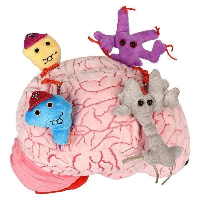 Deluxe brain w/ mini cells Plush